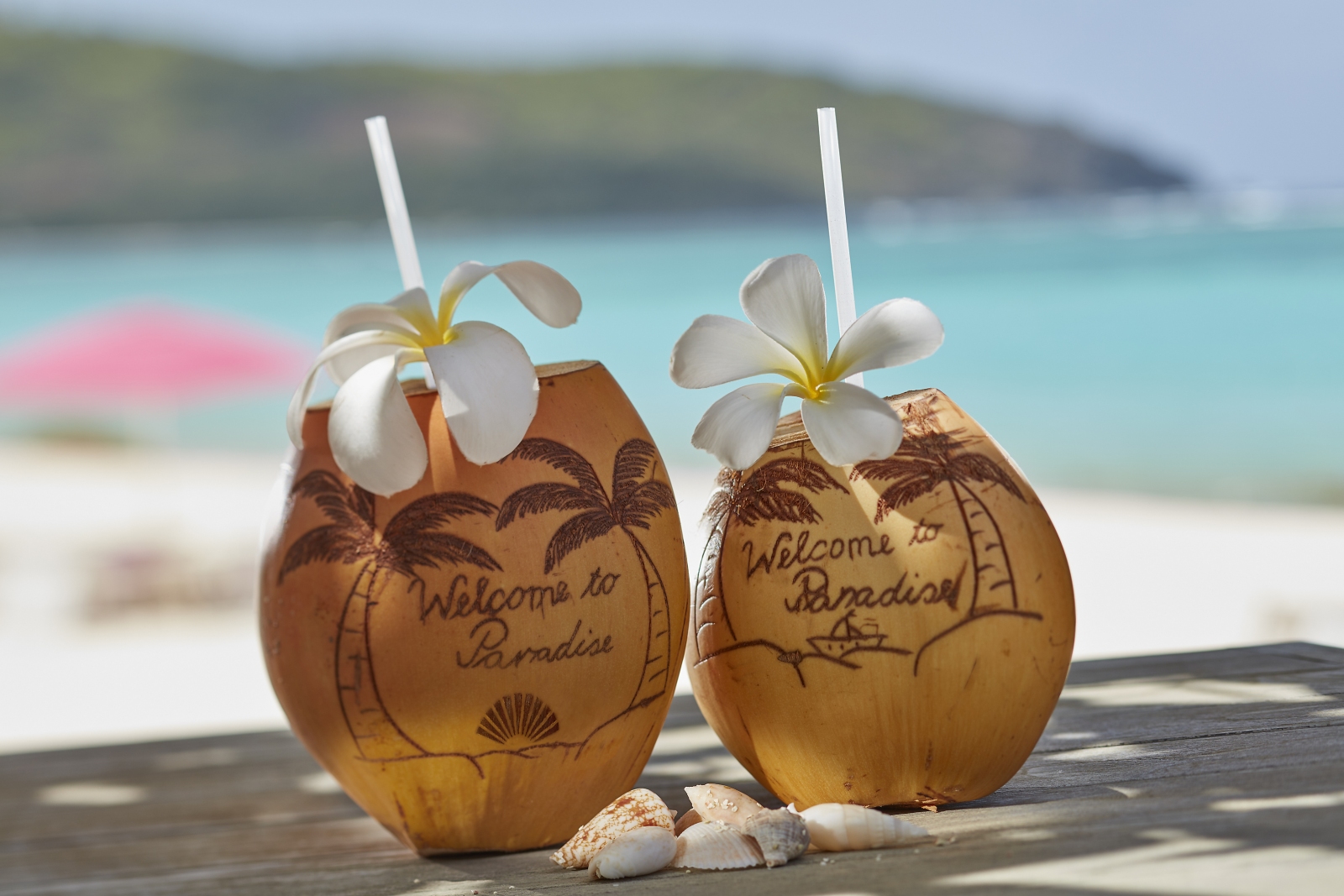 Coconuts with engraving "Welcome to Paradise"