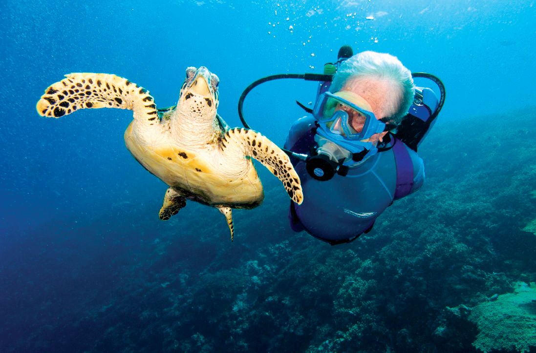 Diving at Petit St Vincent