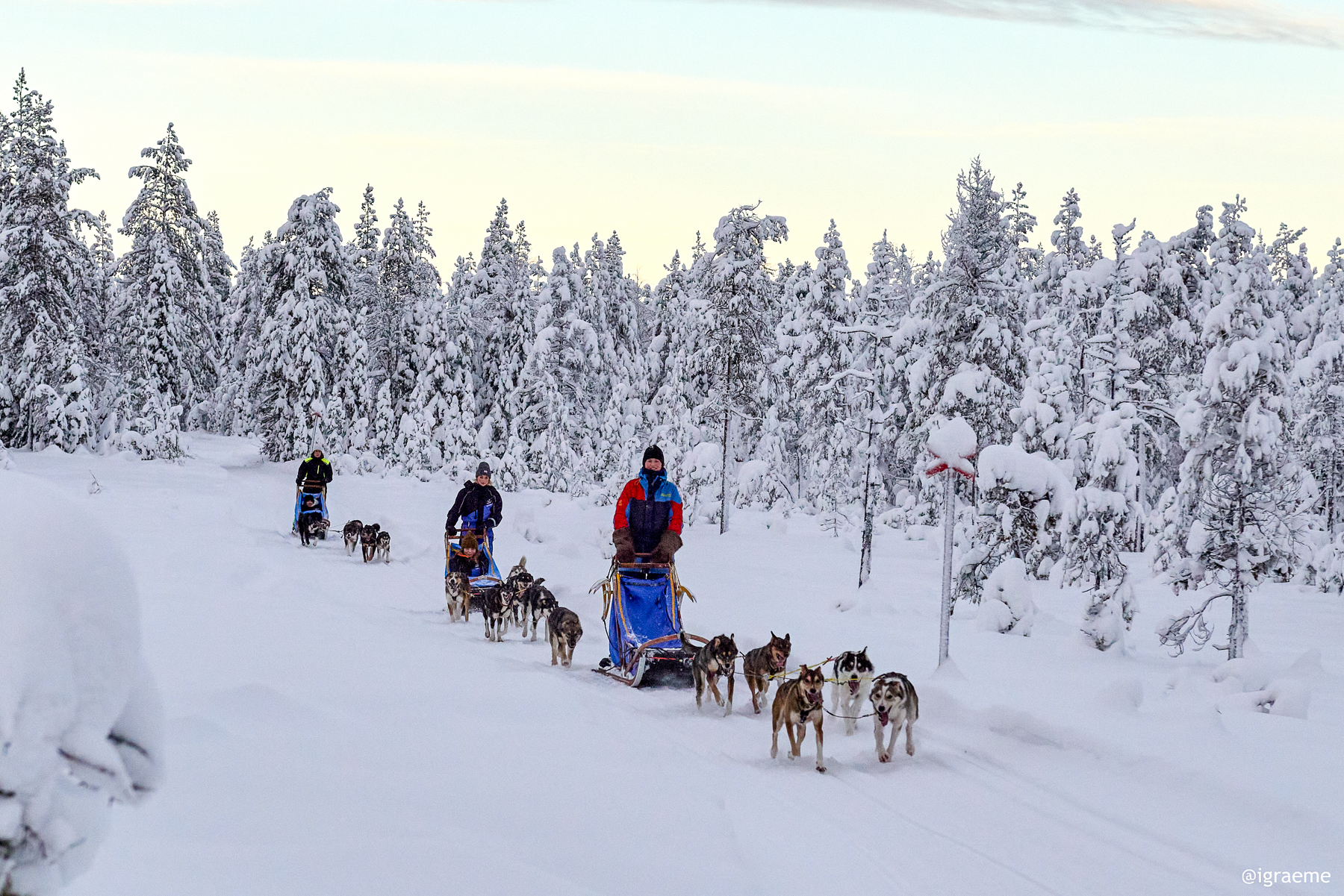 Dogsledding in Swedish Lapland on the grounds of Arctic Retreat
