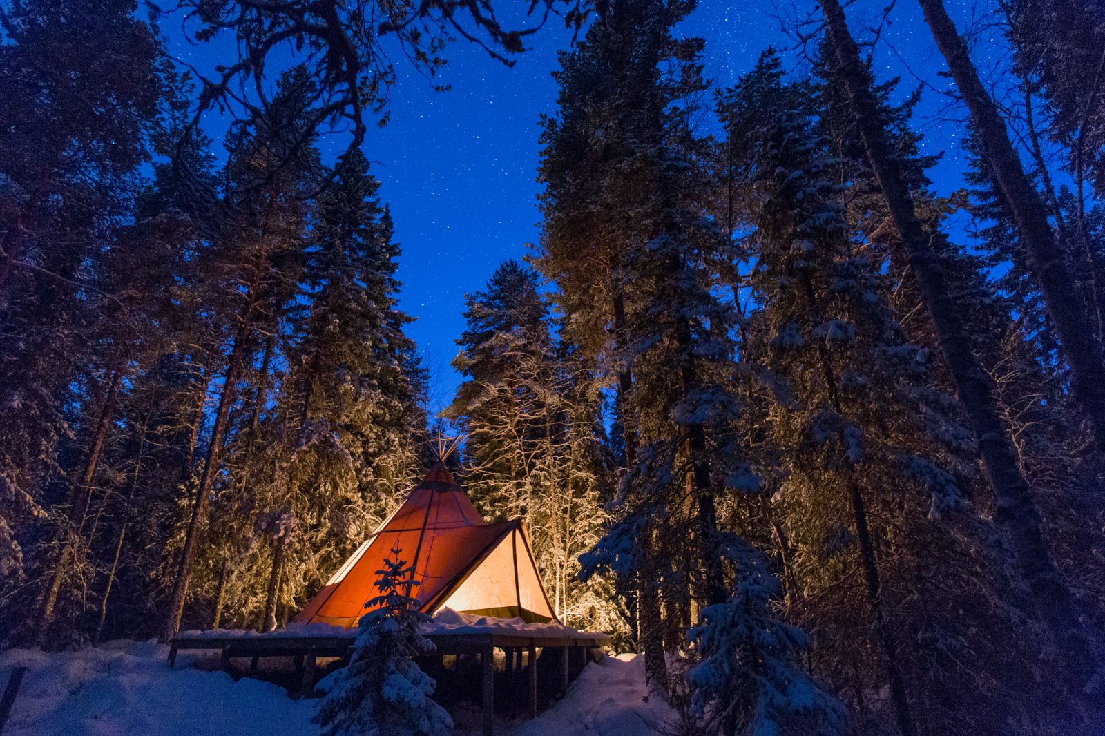 Deluxe Room at Aurora Safari Camp in Sweden at Night