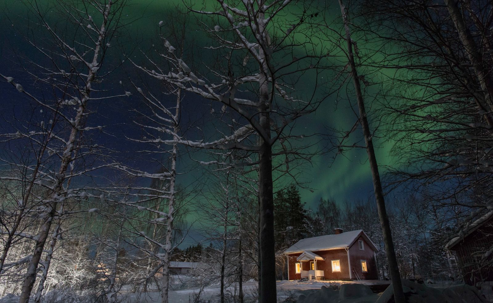The Northern Lights playing in the sky over the reception house at Aurora Safari Camp in Sweden