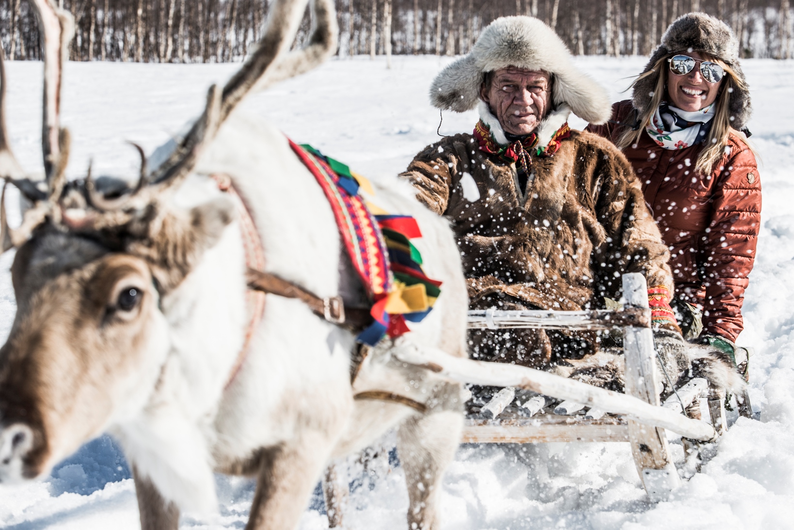 Reindeer sledding at Fjellborg Arctic Lodge