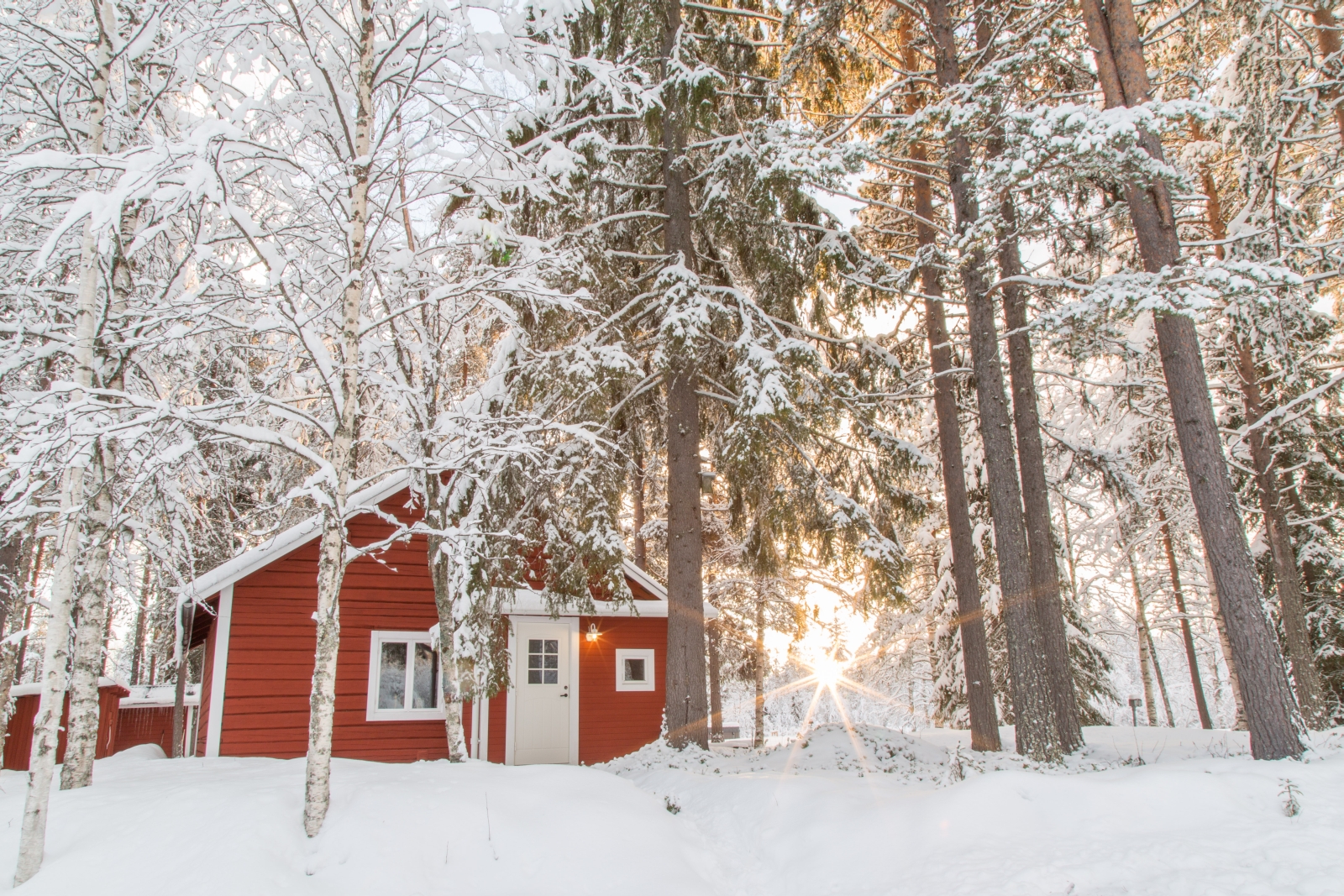 Snow Exterior of Loggers Lodge