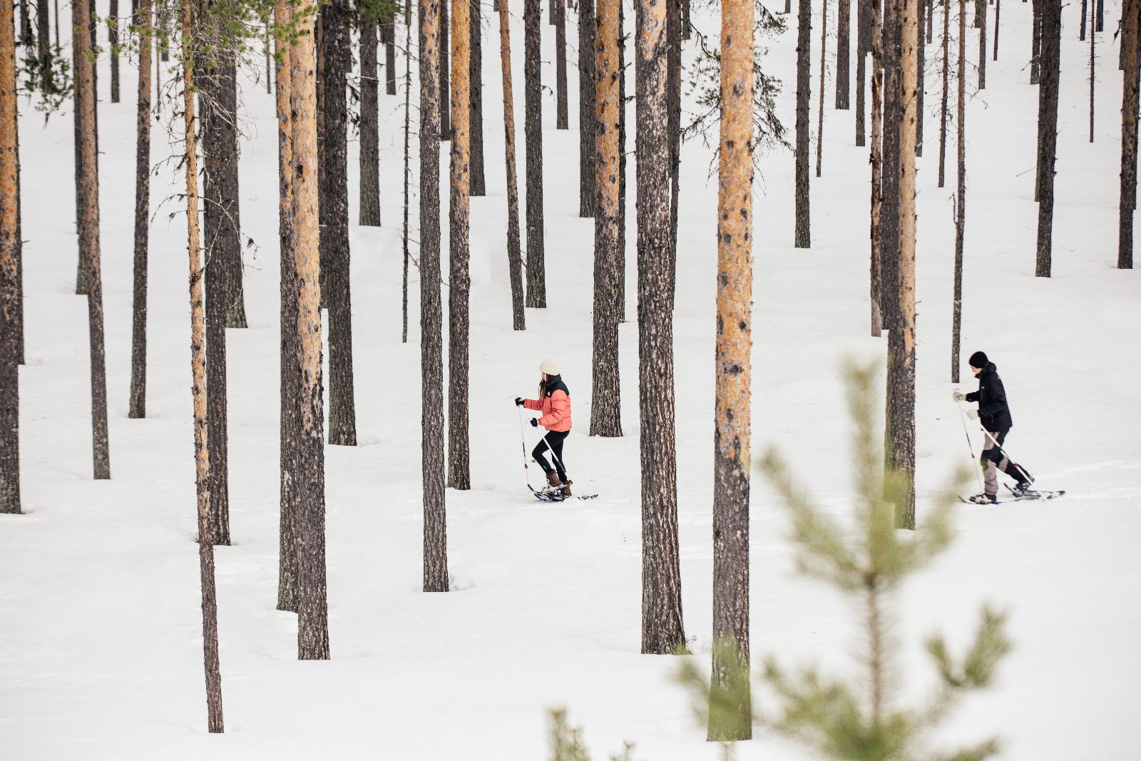 Snow cross country activity at luxury Loggers Lodge hotel in Sweden