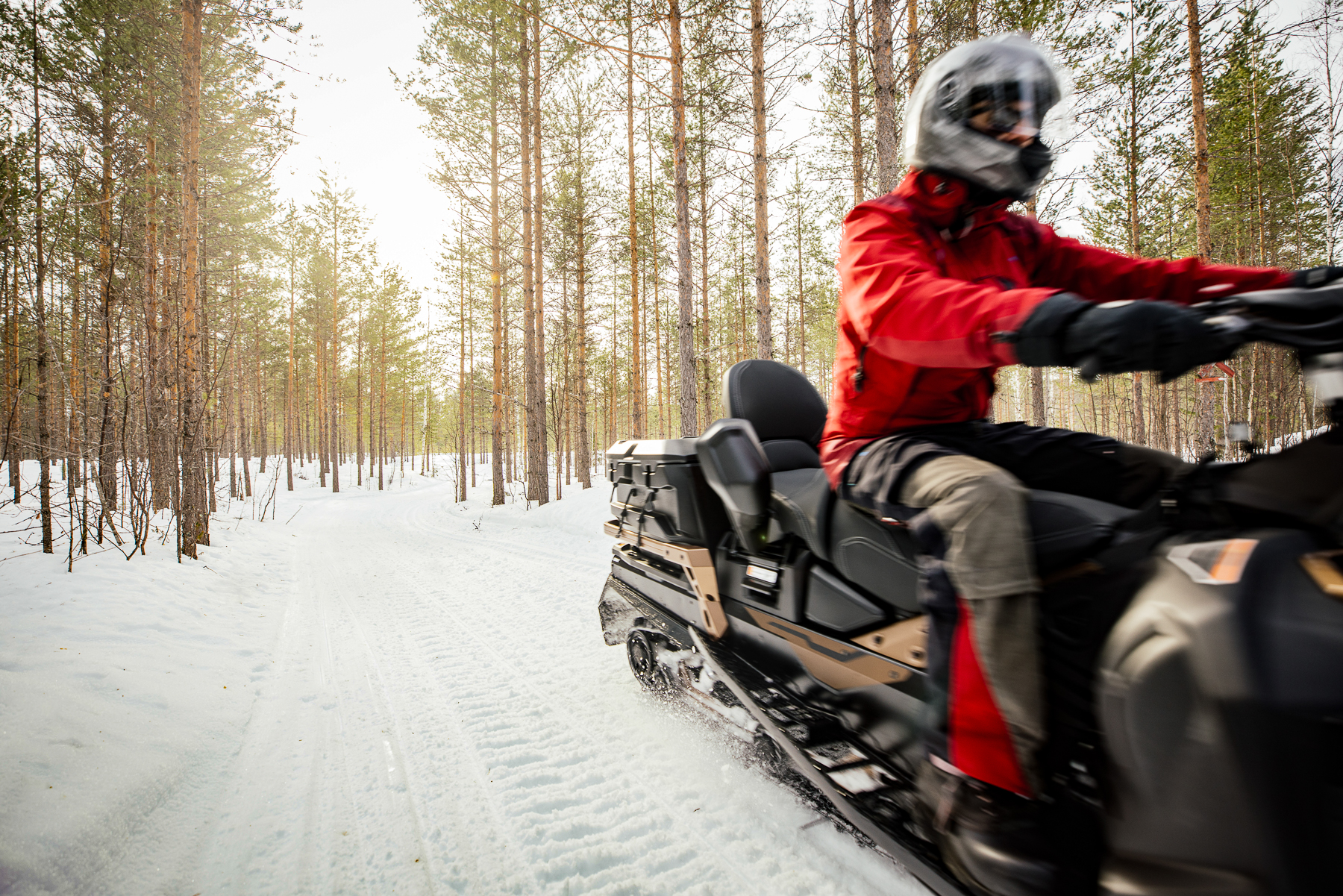 Snowmobiling through the snowy forest of Logger's Lodge in Swedish Lapland