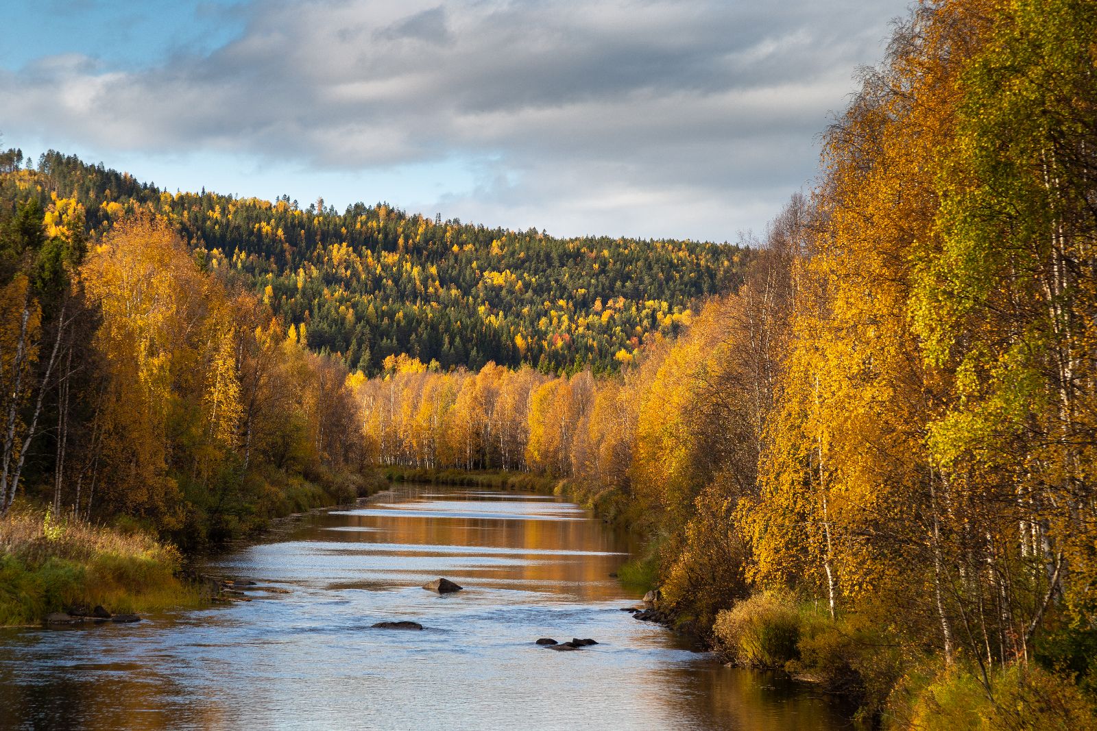 Forest views with calming river at luxury Loggers Lodge hotel in Sweden