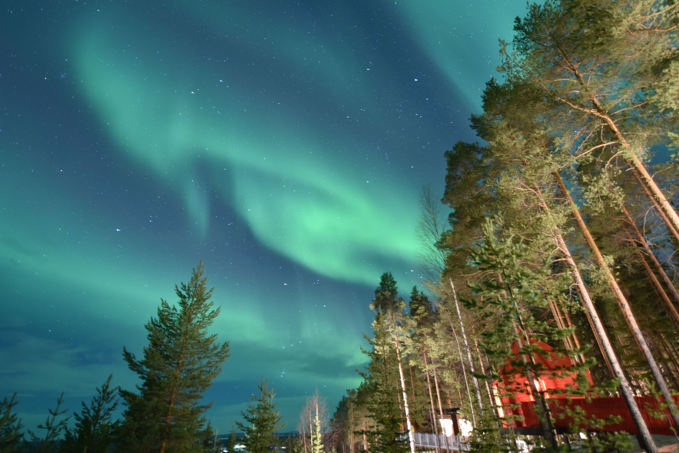 northern lights behind the tree hotel in sweden