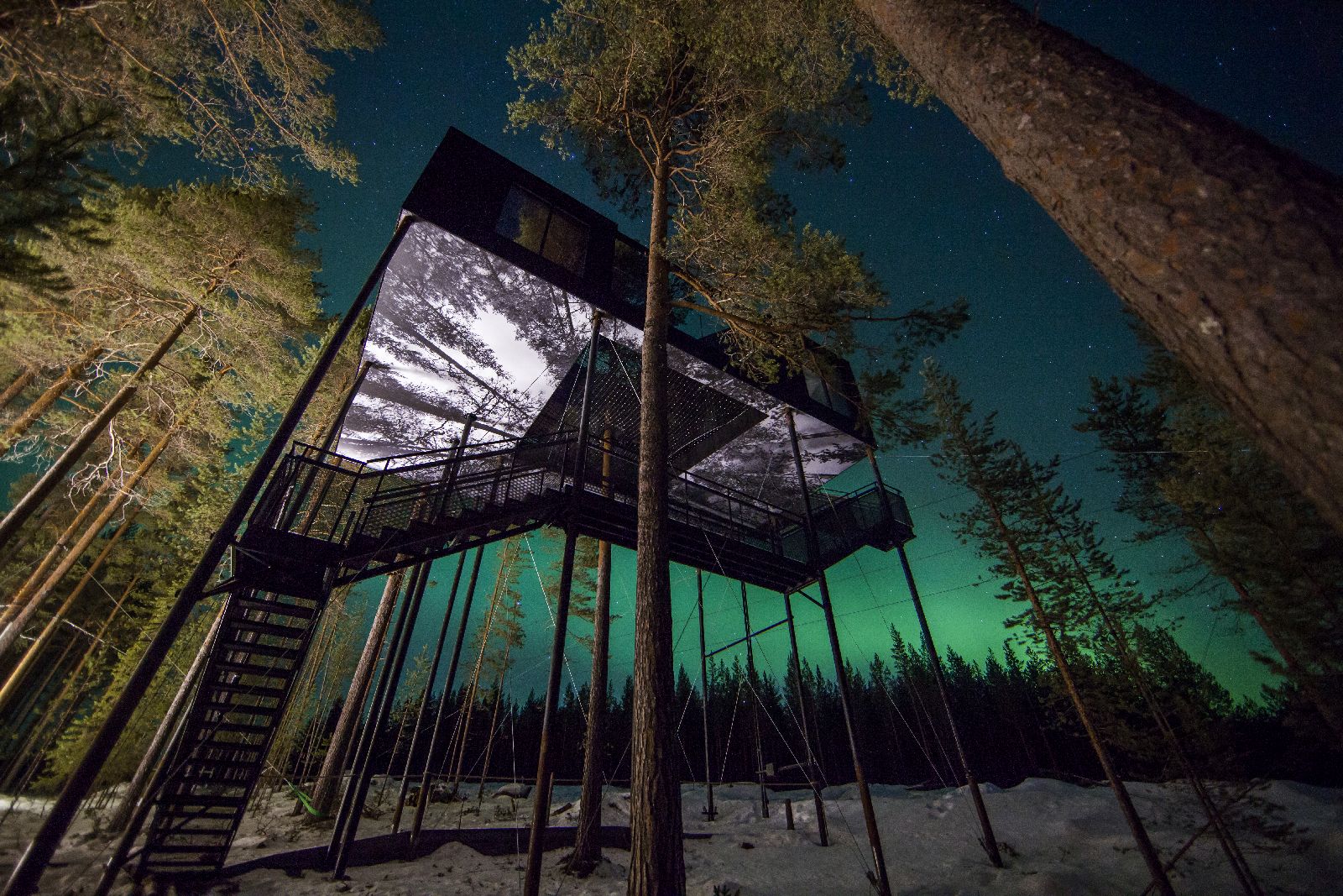 Suspended cabin and Northern Lights views at the Treehotel in Sweden