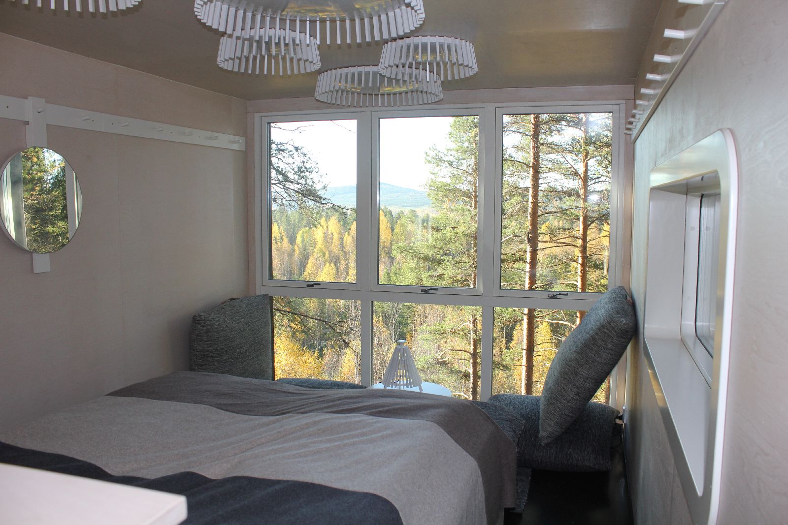 Forest views from a cabin at the Treehotel in Sweden