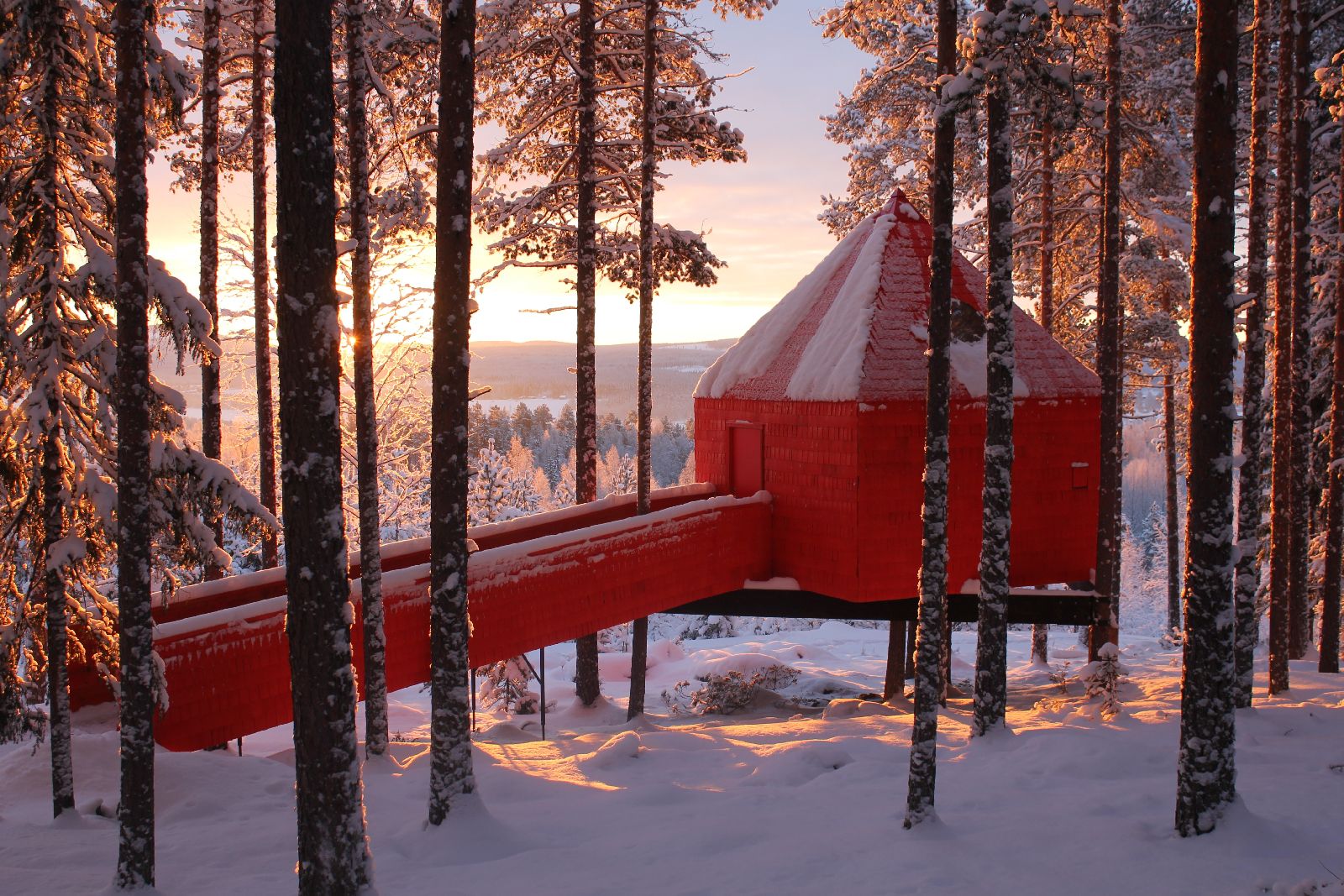 Blue Cone cabin at the Treehotel in Sweden