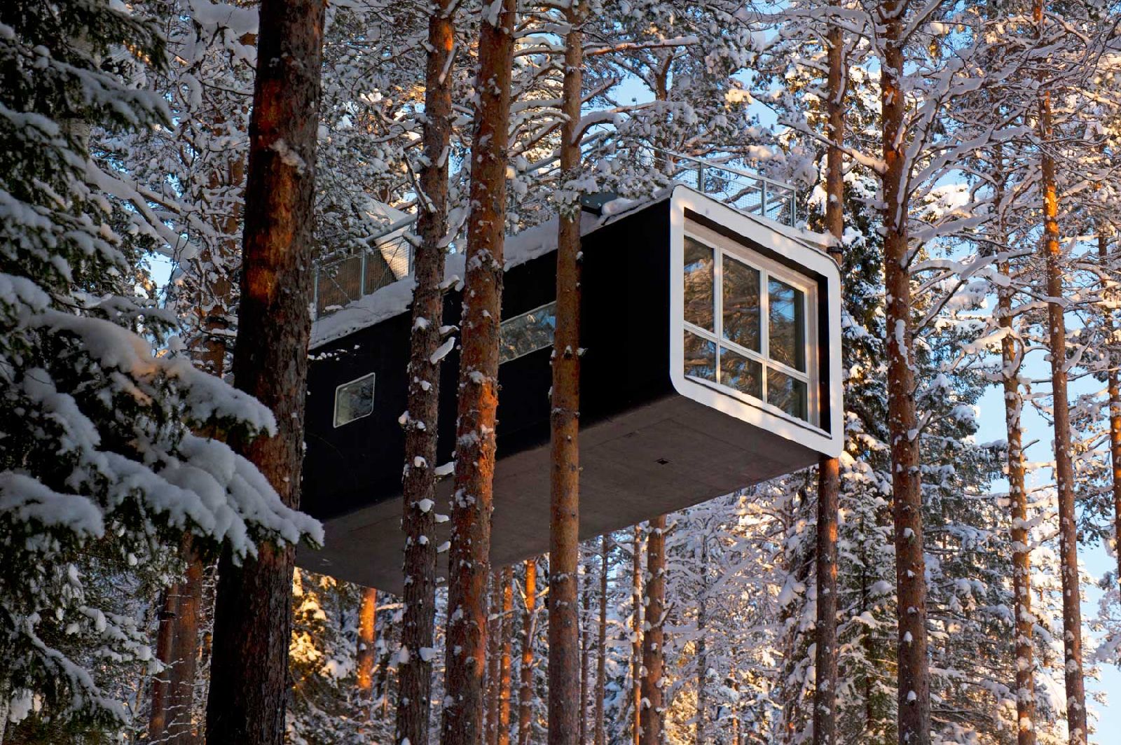 Cabin in the treetops at the Treehotel in Sweden