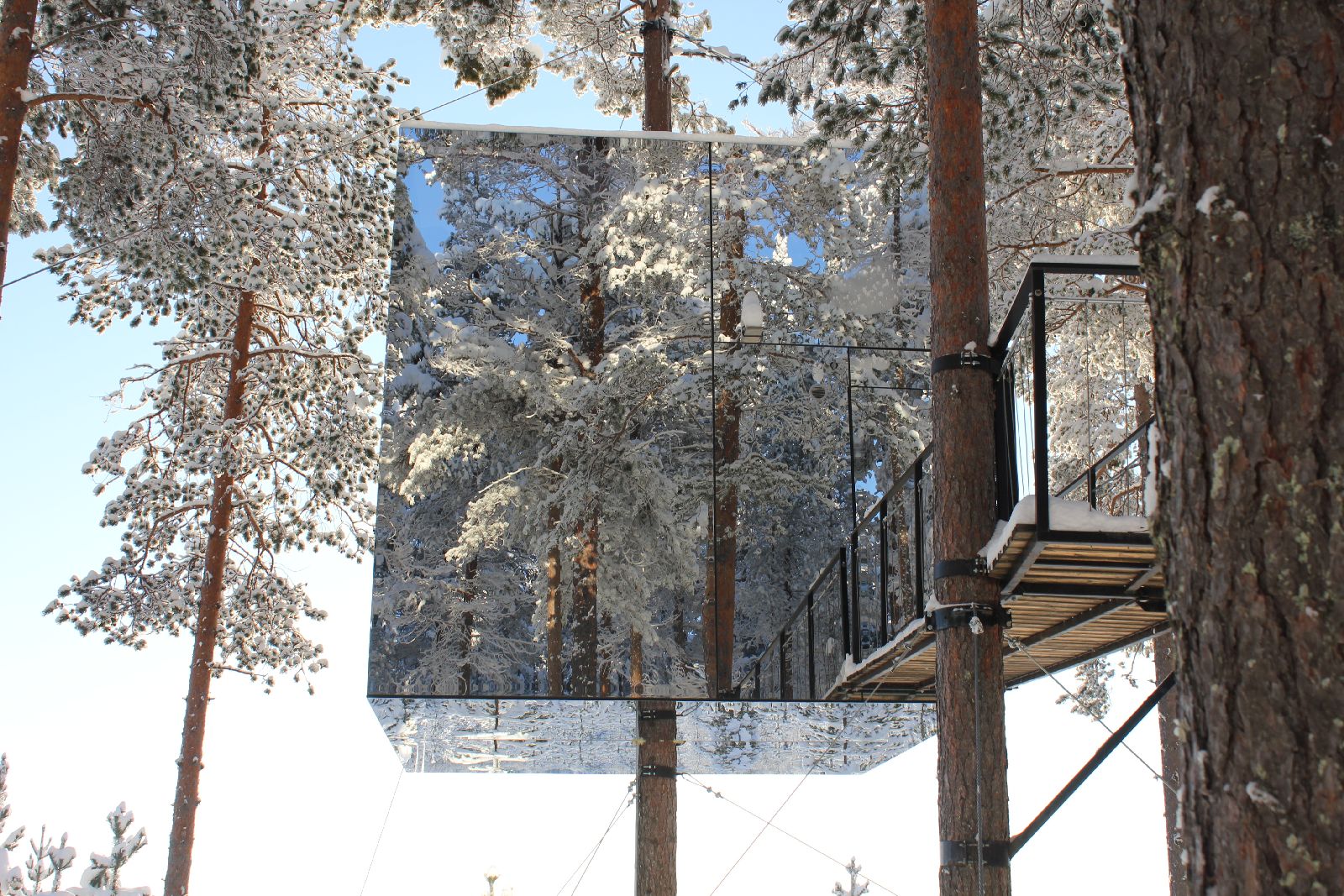 Mirror cube in the tree tops at the Treehotel in Sweden