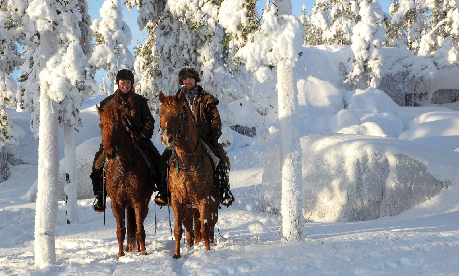 Horse riding through winter landscapes at the Treehotel in Sweden