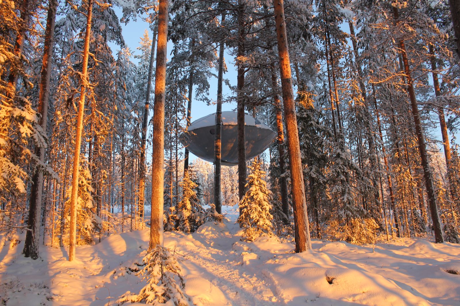 UFO accomodation at the Treehotel in Sweden