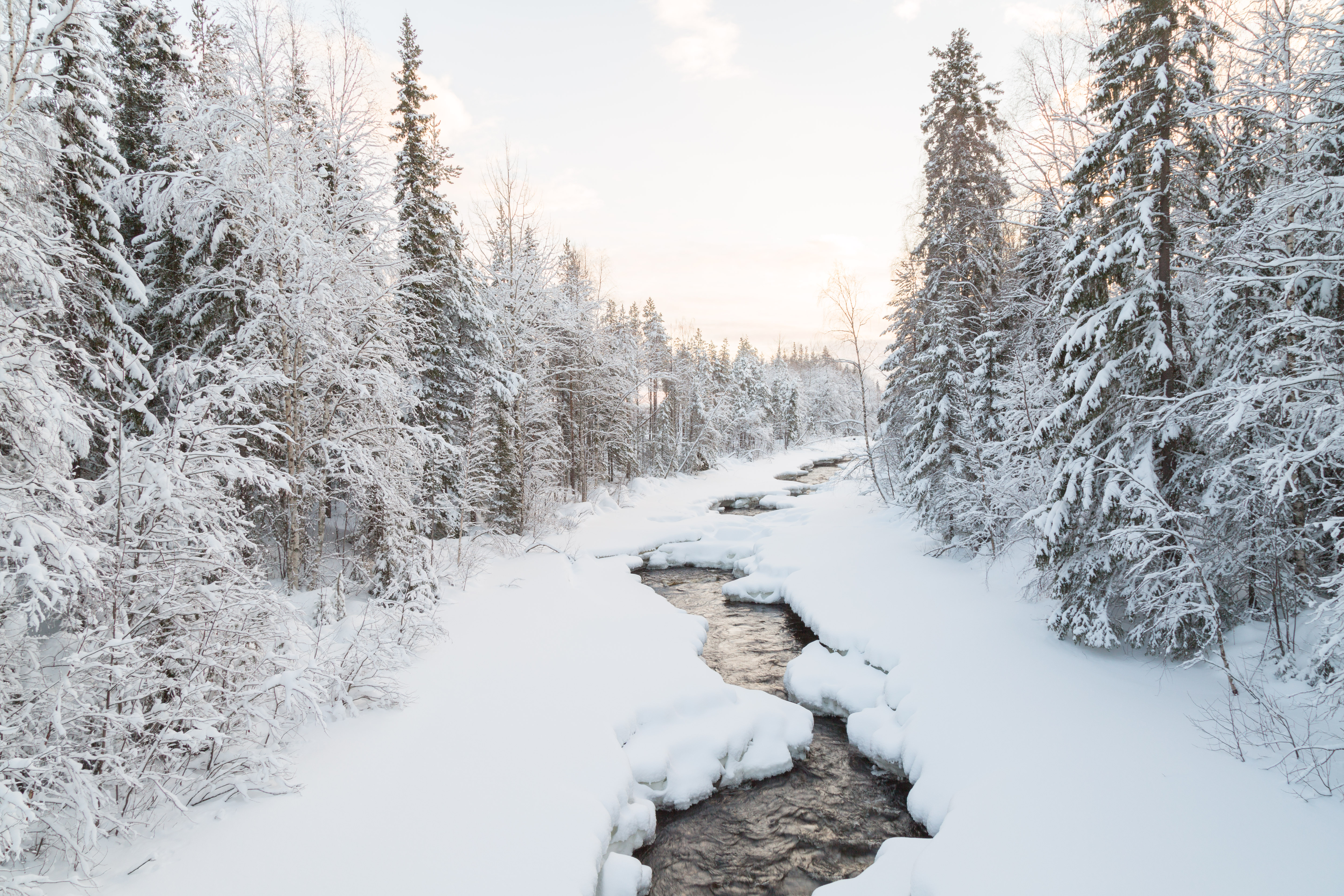 Loggers Lodge grounds in Lapland, Sweden