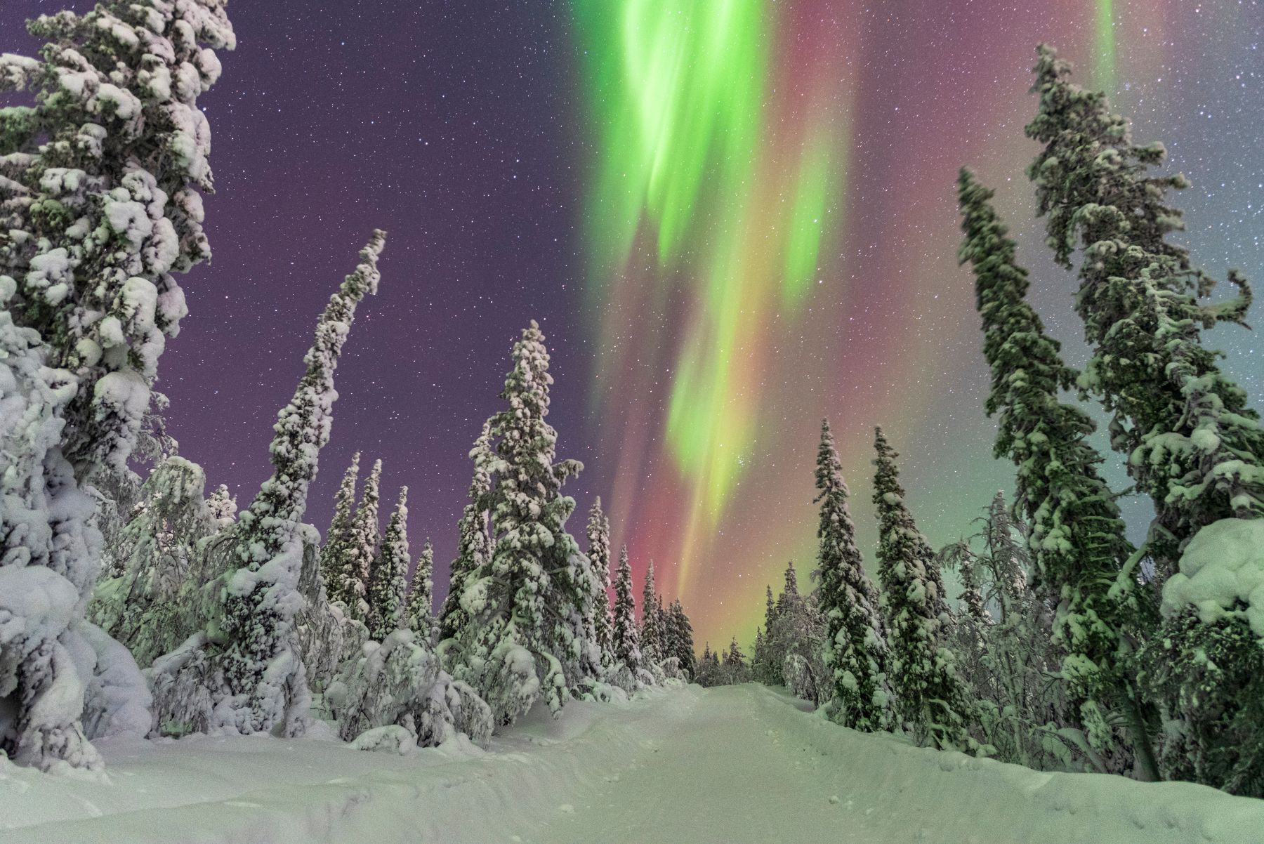 Northern lights spotted over Swedish Lapland