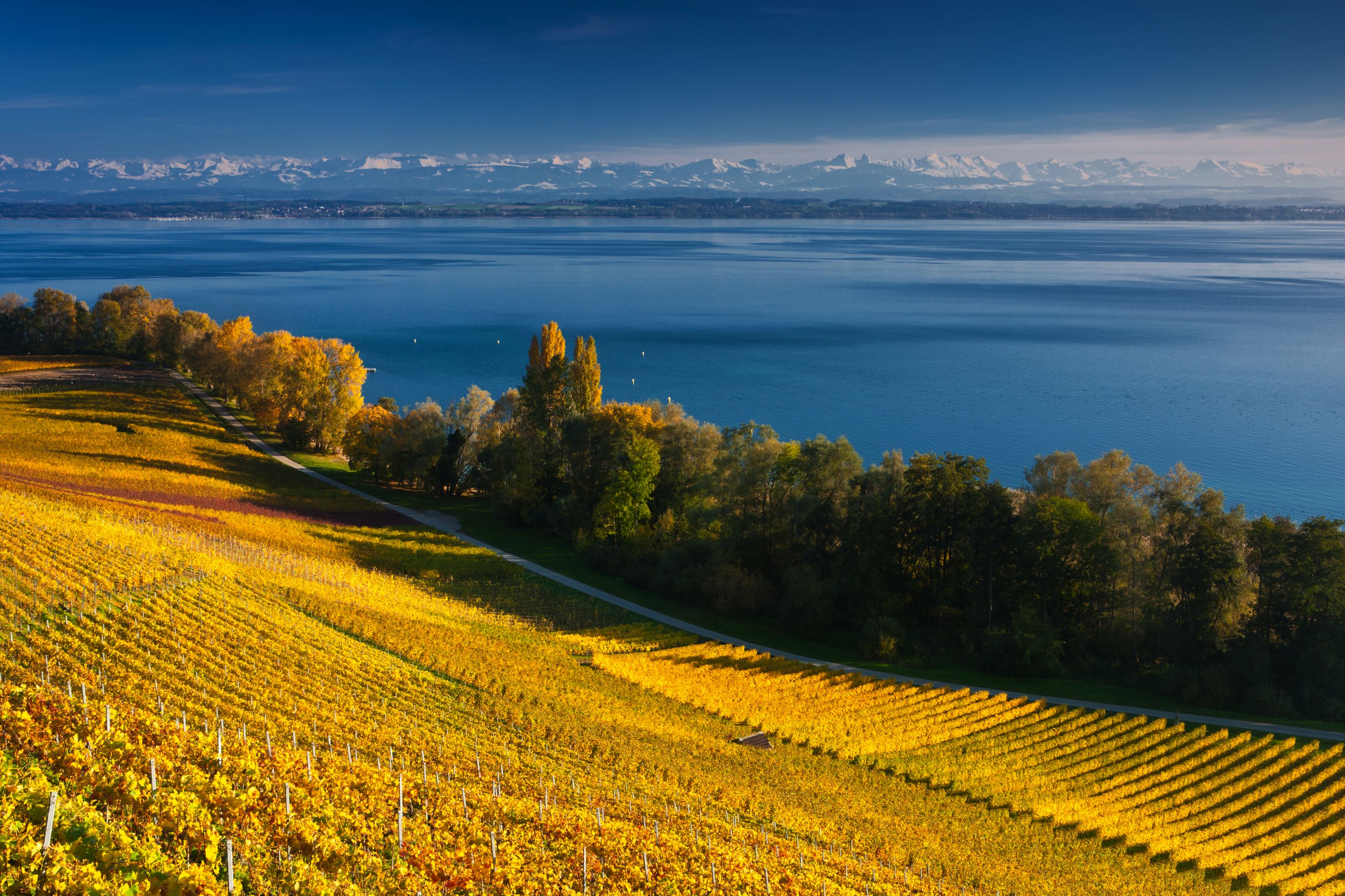 Landscape of Neuchatel A Gerth, Switzerland