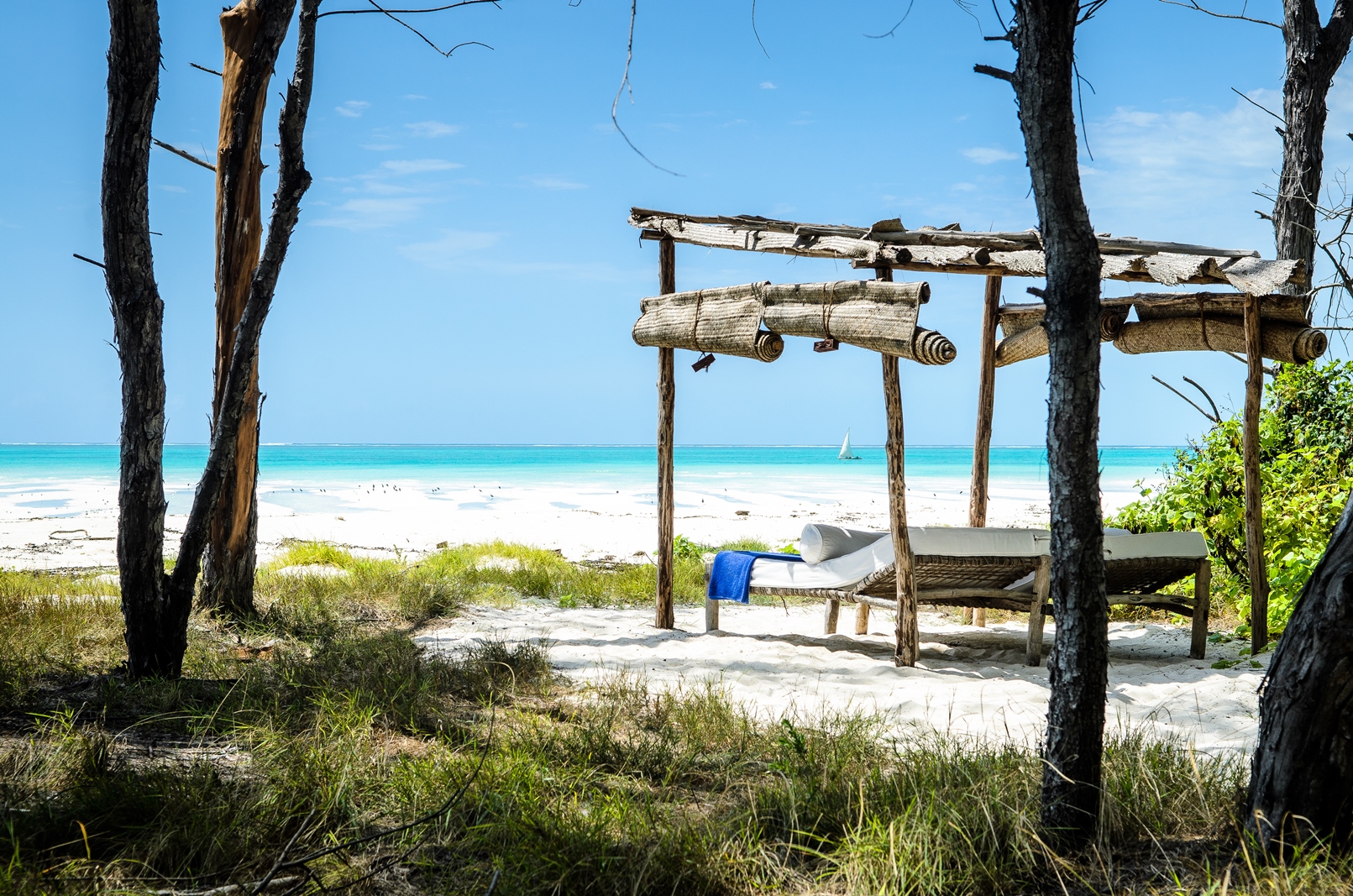 view of the beach and sea at andBeyond Mnemba Island Lodge, Zanzibar