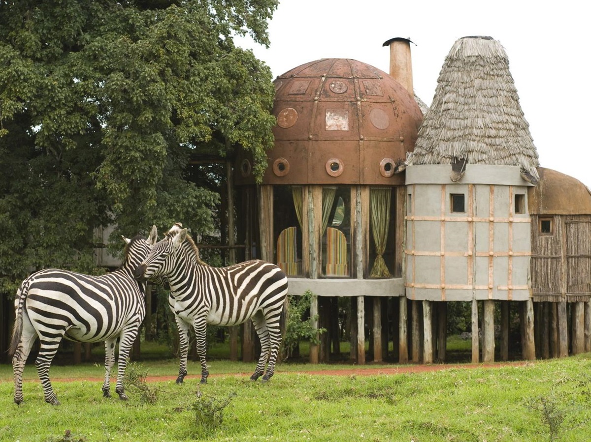 Zebras outside lodge at &beyond Ngorongoro Crater Lodge in Tanzania
