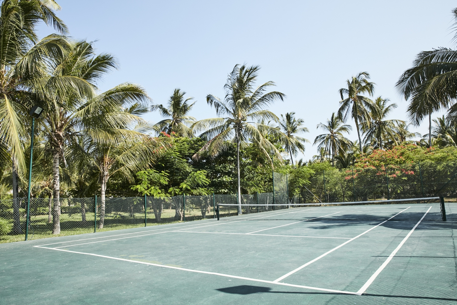 Tennis court surrounded by palm trees at Baraza Resort