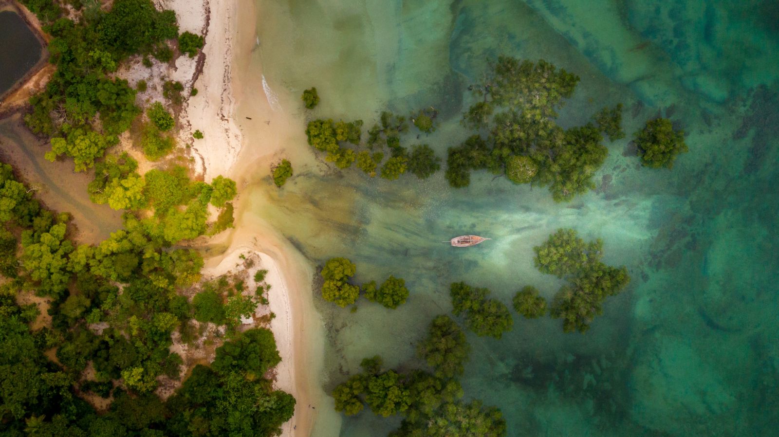 Aerial shot of a boat sailing through mangroves on the coast of Zanzibar