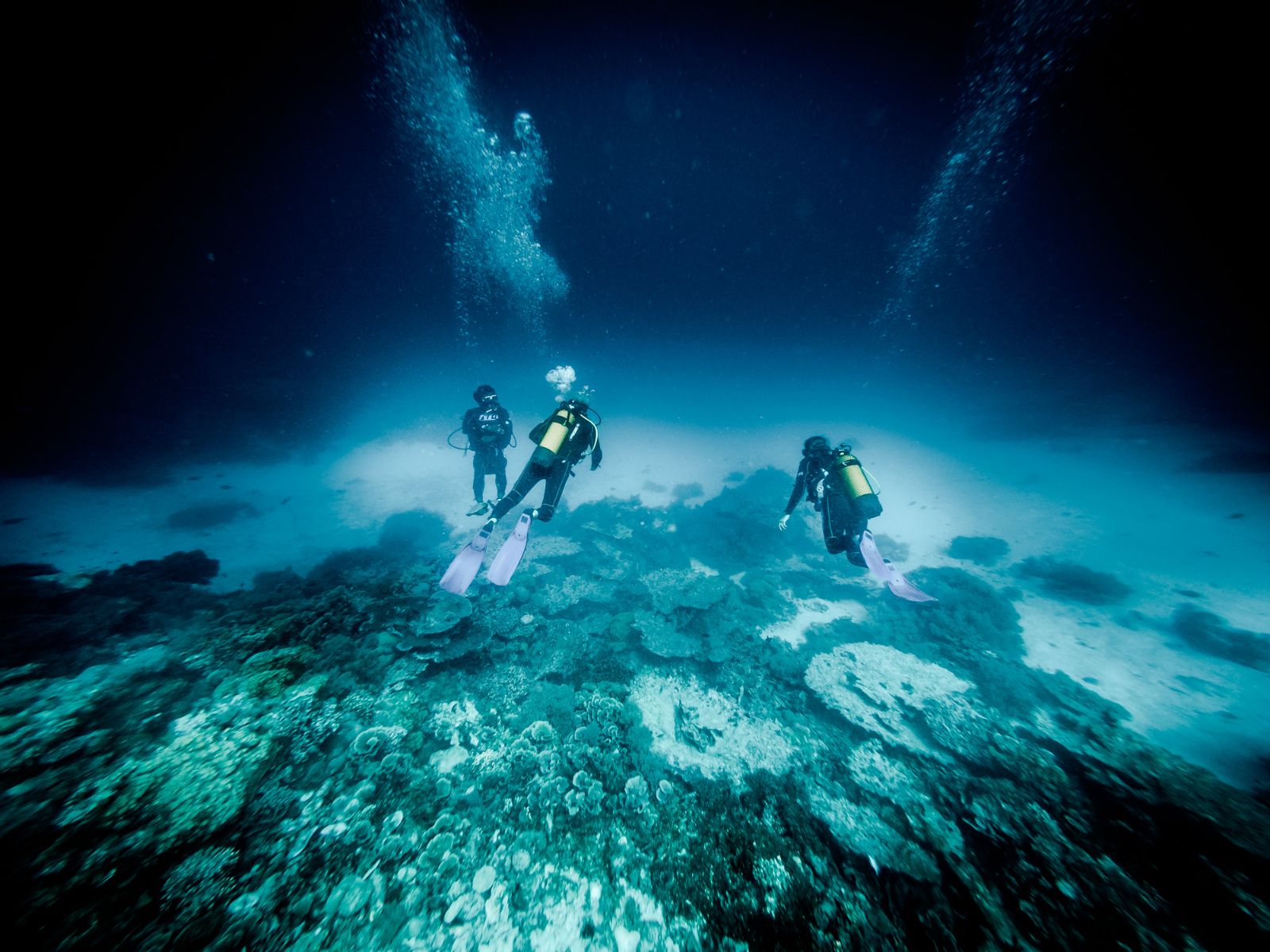 Guests diving during a stay at luxury hotel Fundu Lagoon on Zanzibar