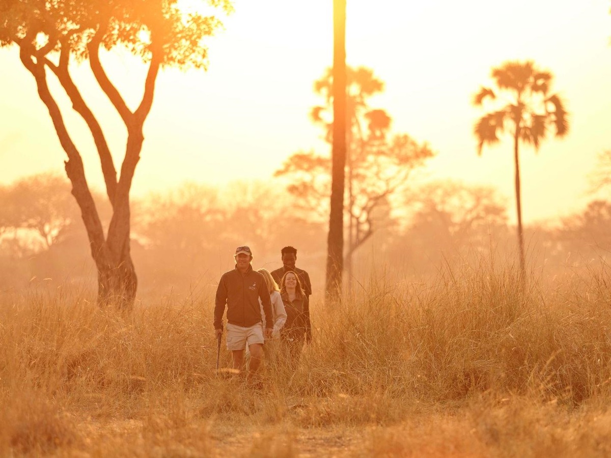 A bush walk from Ikuka Safari Camp in the Ruaha National Park