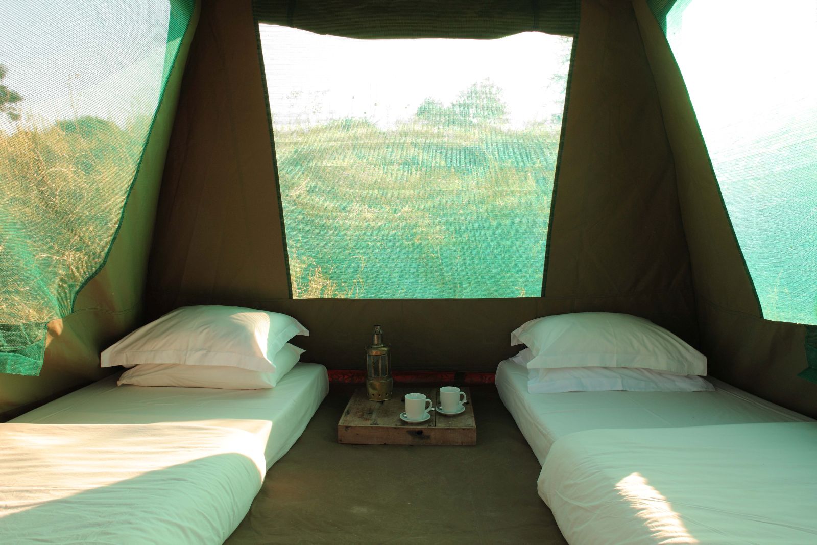 Stargazer tent at Jongomero in Tanzania  