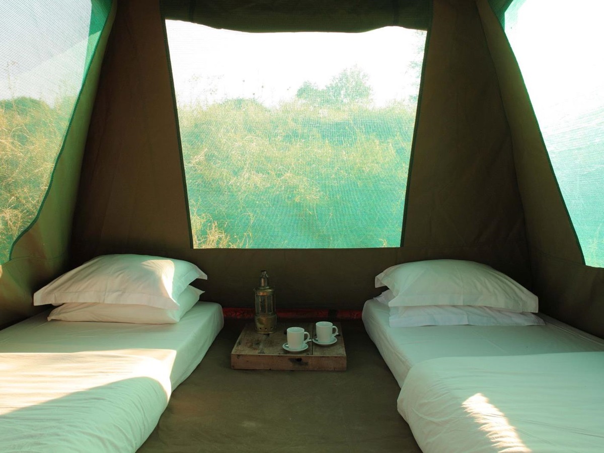 Stargazer tent at Jongomero in Tanzania