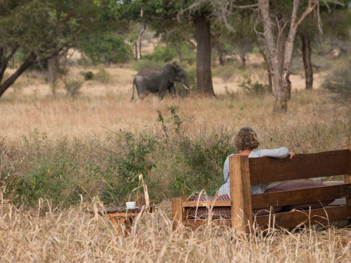 Elephant at Kuro Tarangire in Tanzania