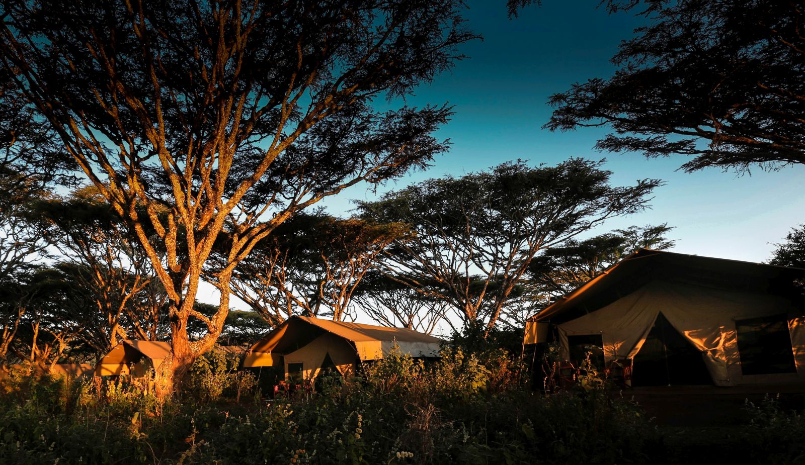 Exterior view of tents at Lemala Ngorongoro Tented Camp in Tanzania 