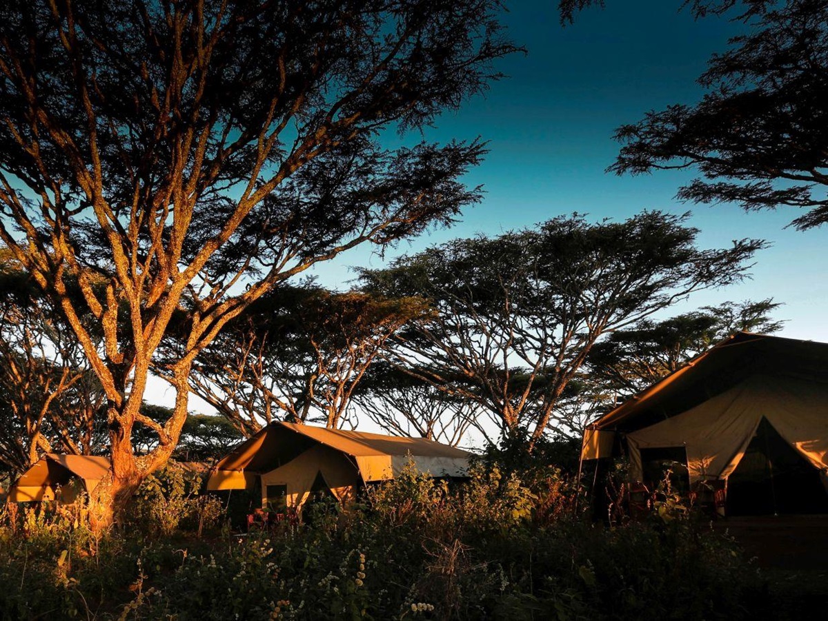 Exterior view of tents at Lemala Ngorongoro Tented Camp in Tanzania