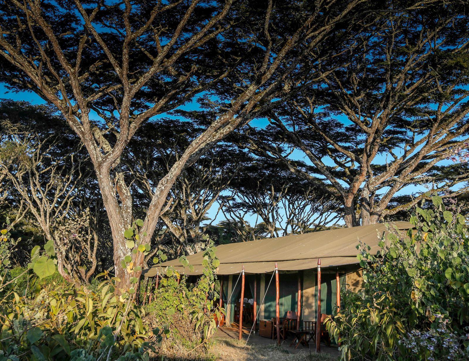 Tent exterior at Lemala Ngorongoro Tented Camp in Tanzania 