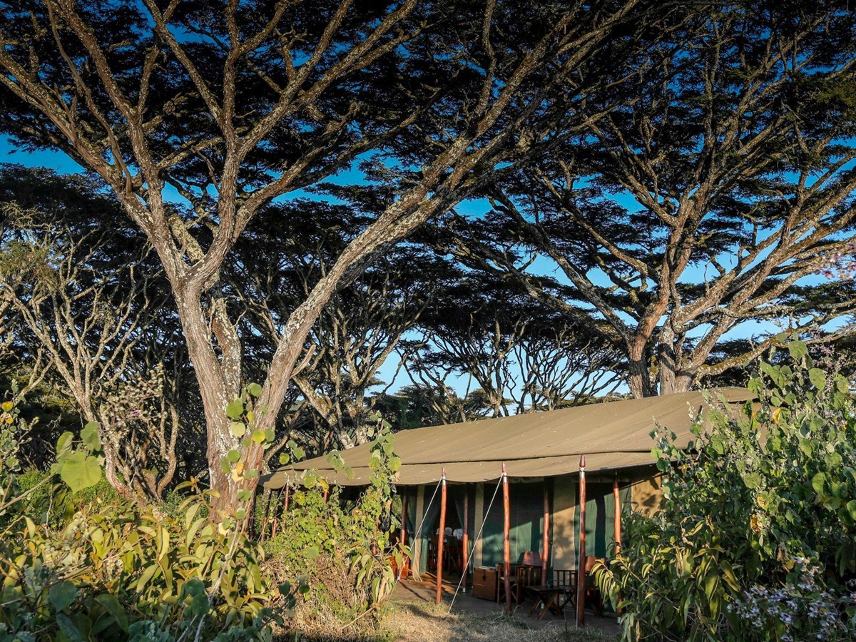 Tent exterior at Lemala Ngorongoro Tented Camp in Tanzania
