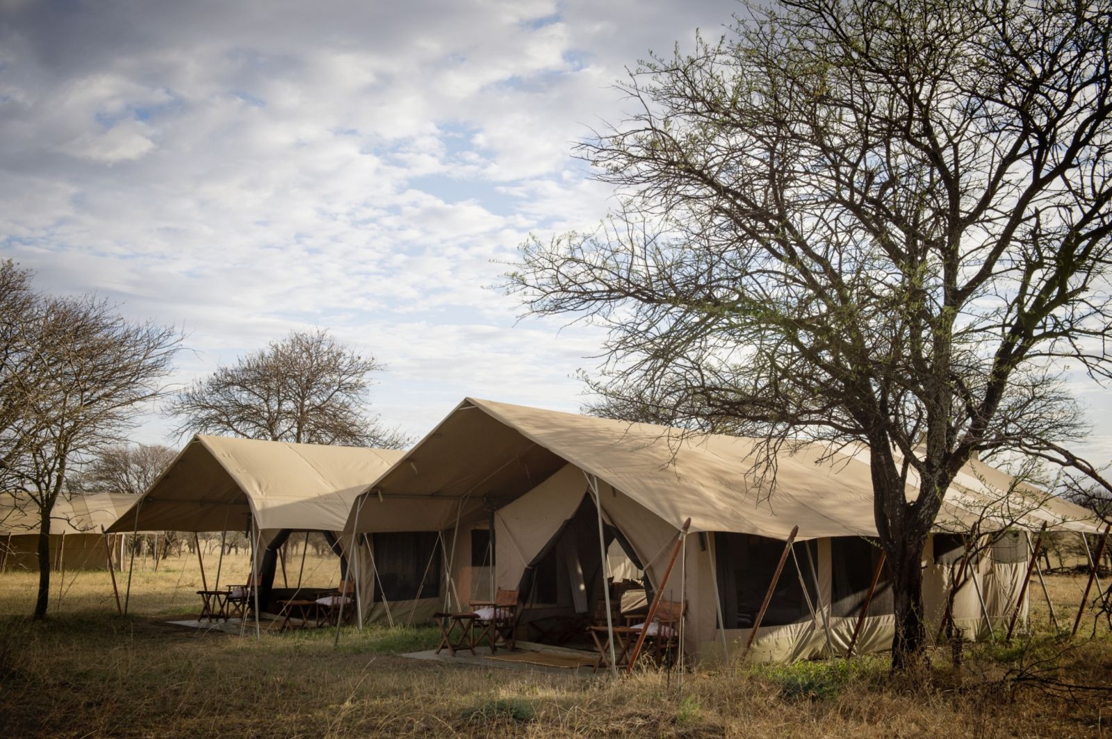 Family tent exterior at Serengeti Safari Camp in Tanzania 