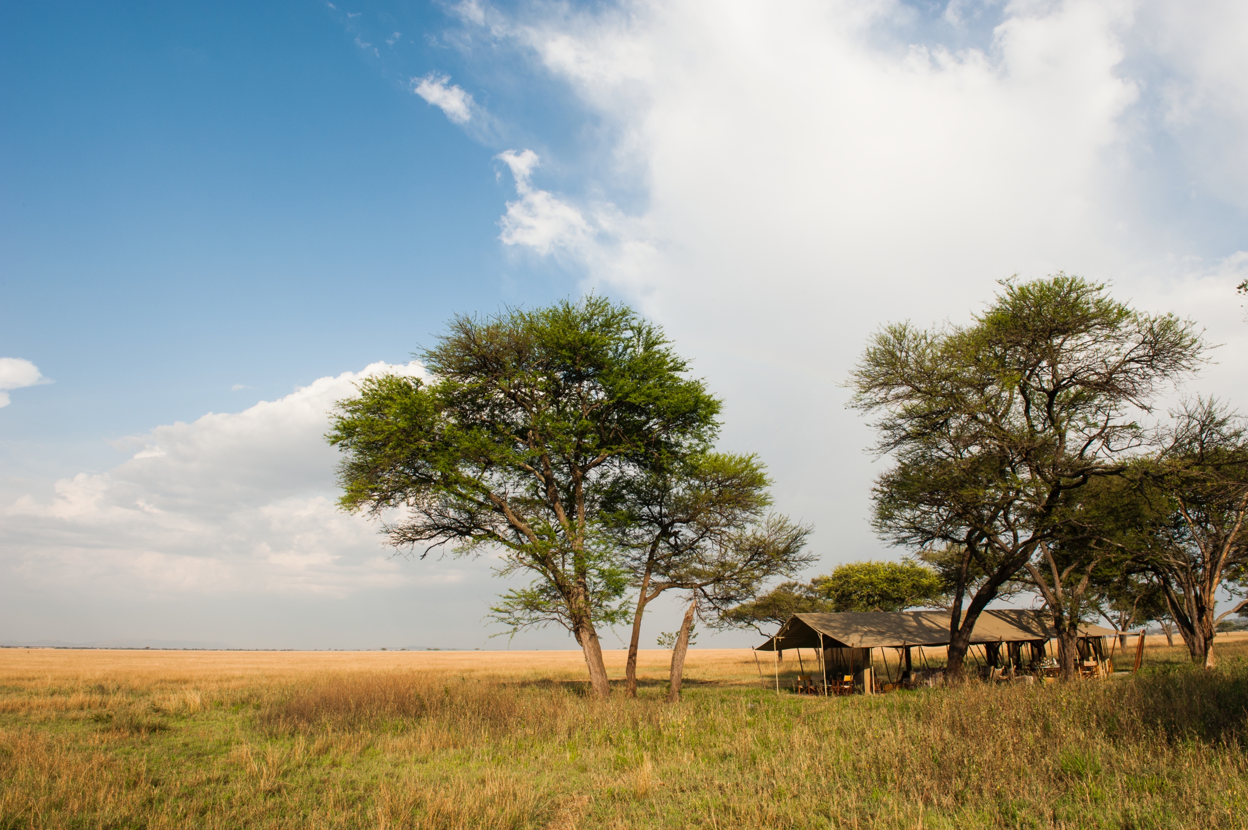 Mess tent with views over the Serengeti