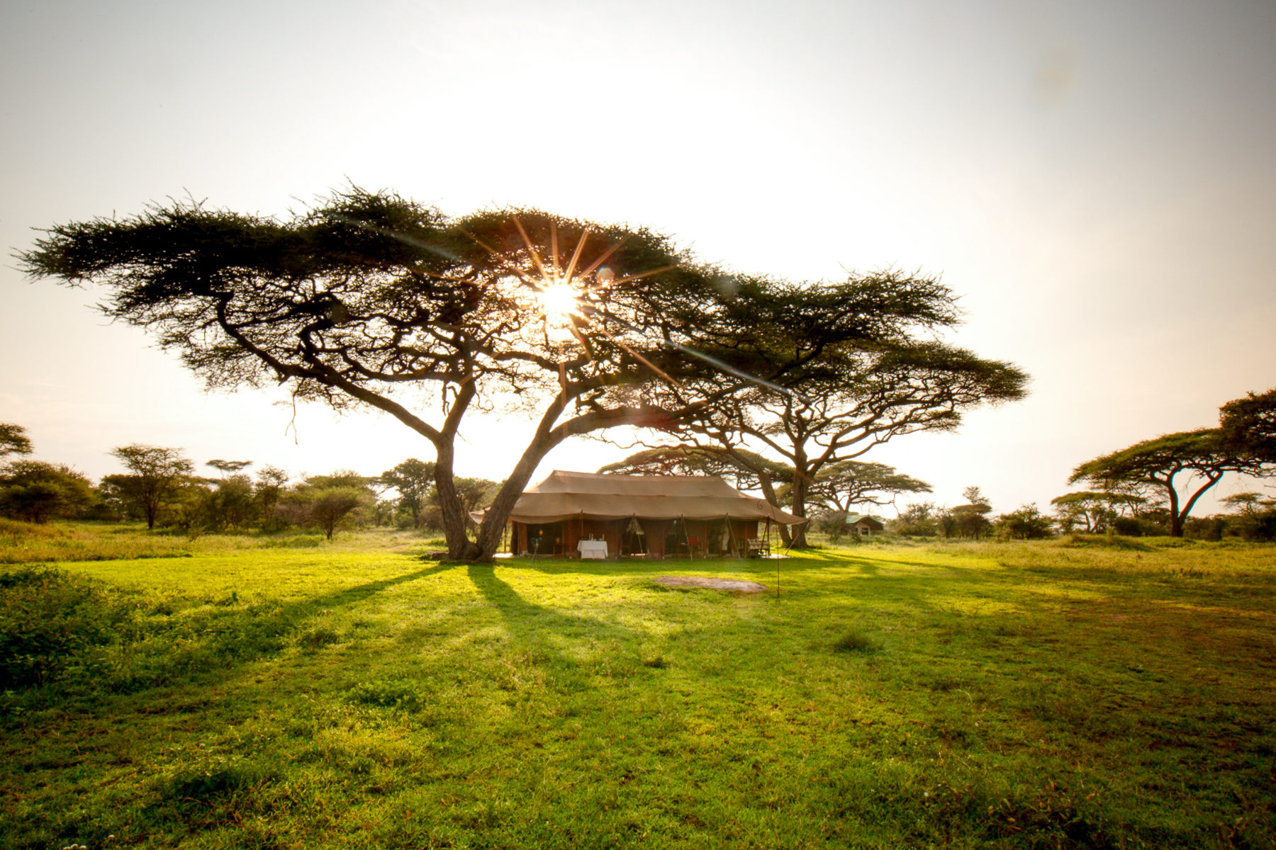 Exterior view of the mess tent at Serian's Serengeti North Mobile Camp