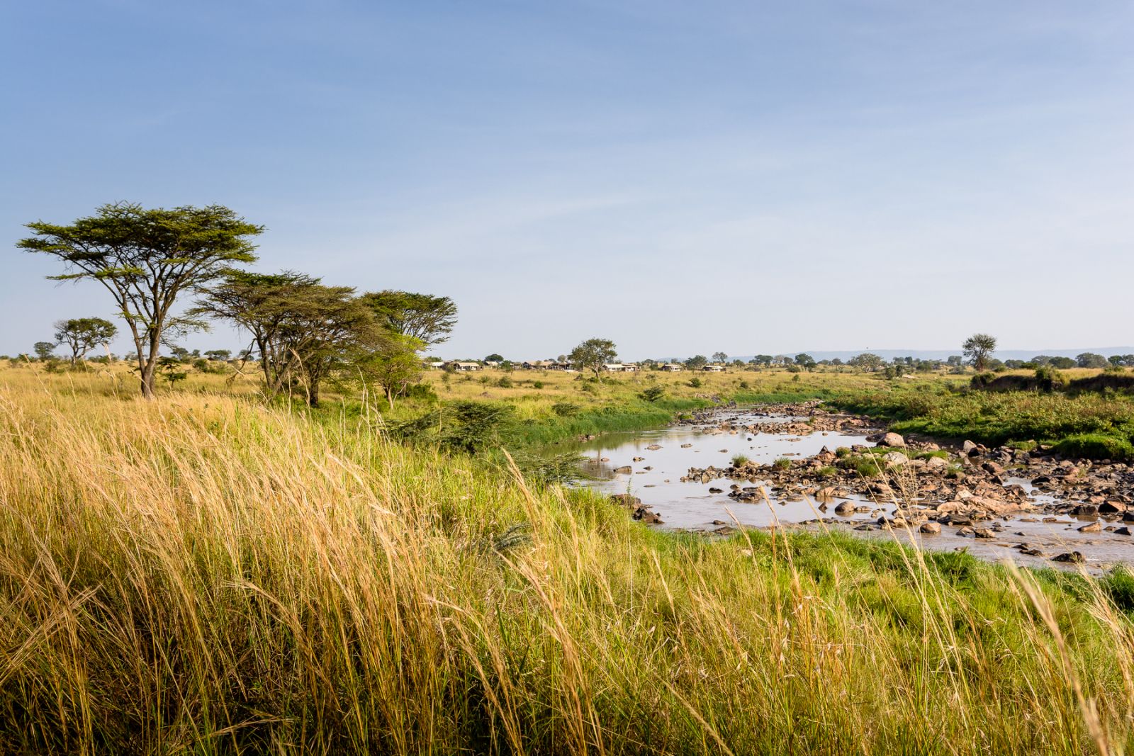 View of camp and the river at Singita Mara River Tented Camp in Tanzania 