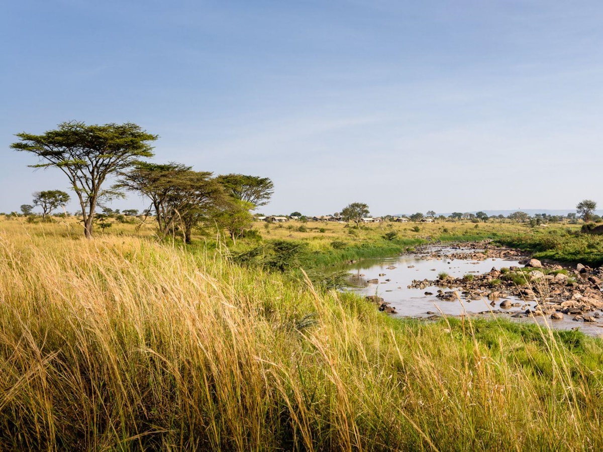 View of camp and the river at Singita Mara River Tented Camp in Tanzania