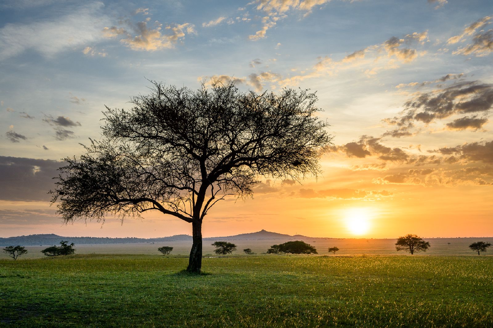 Sunset over the Serengeti plains at Singita Sabora Tented Camp in Tanzania