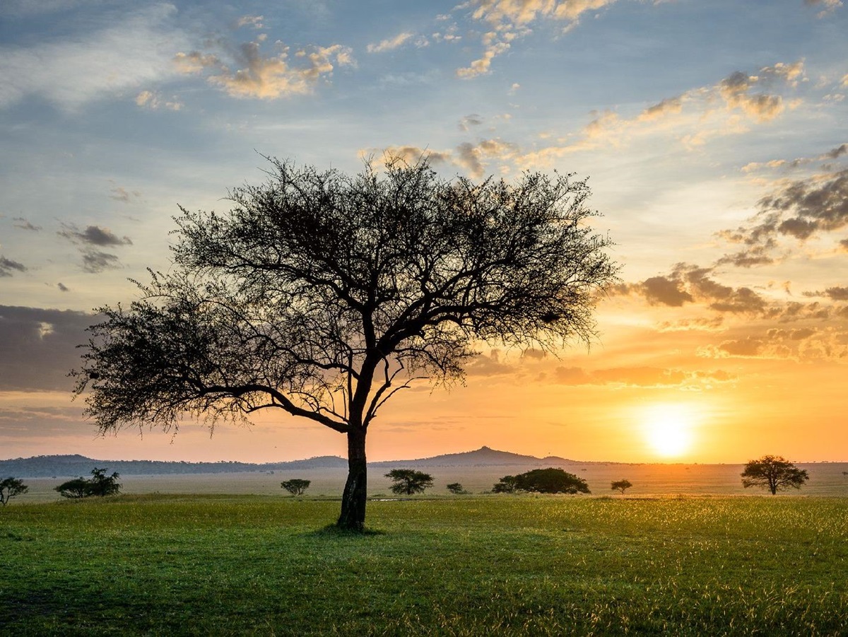 Sunset over the Serengeti plains at Singita Sabora Tented Camp in Tanzania