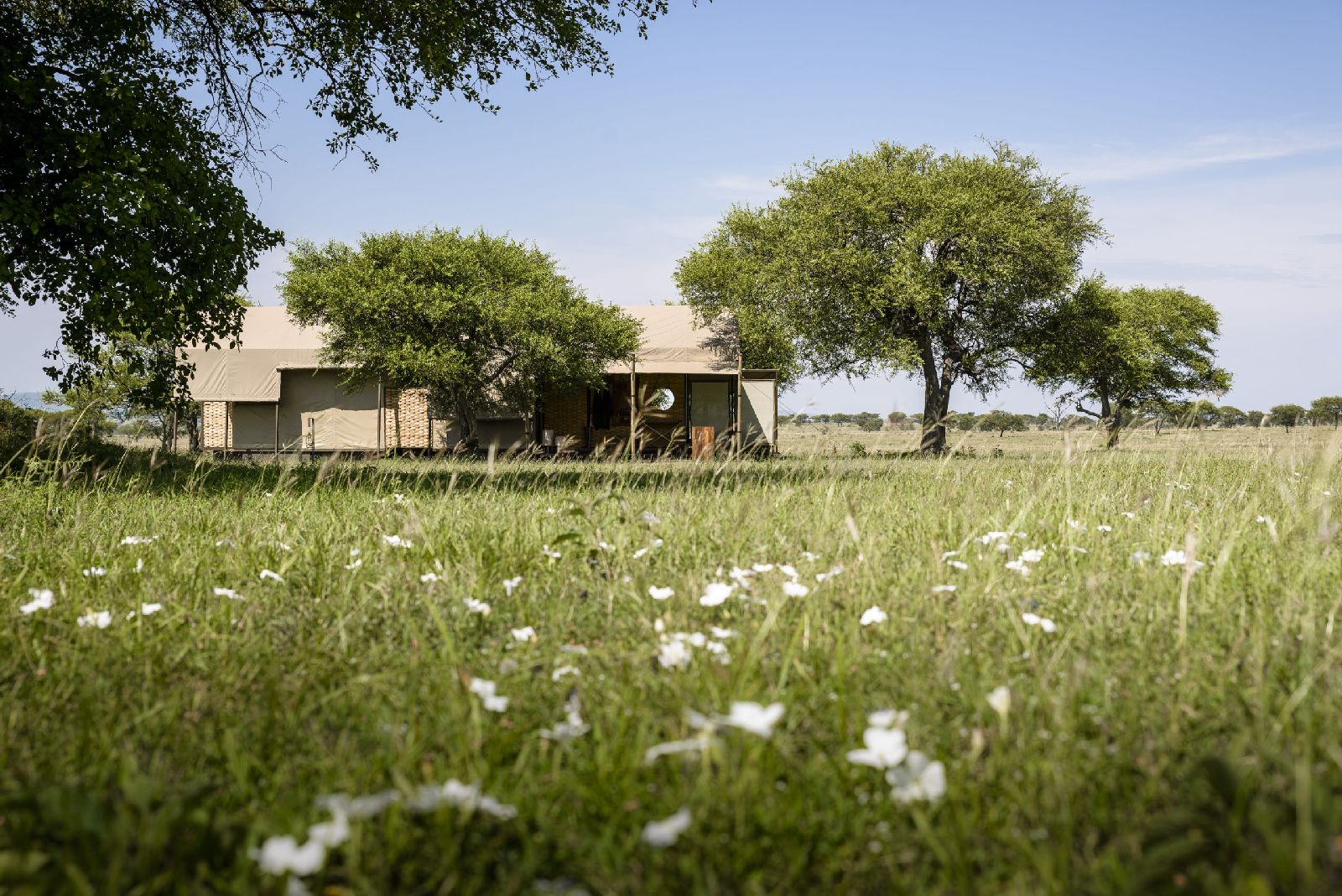 The Singita Sabora Tented Camp in  the Serengeti plains Tanzania