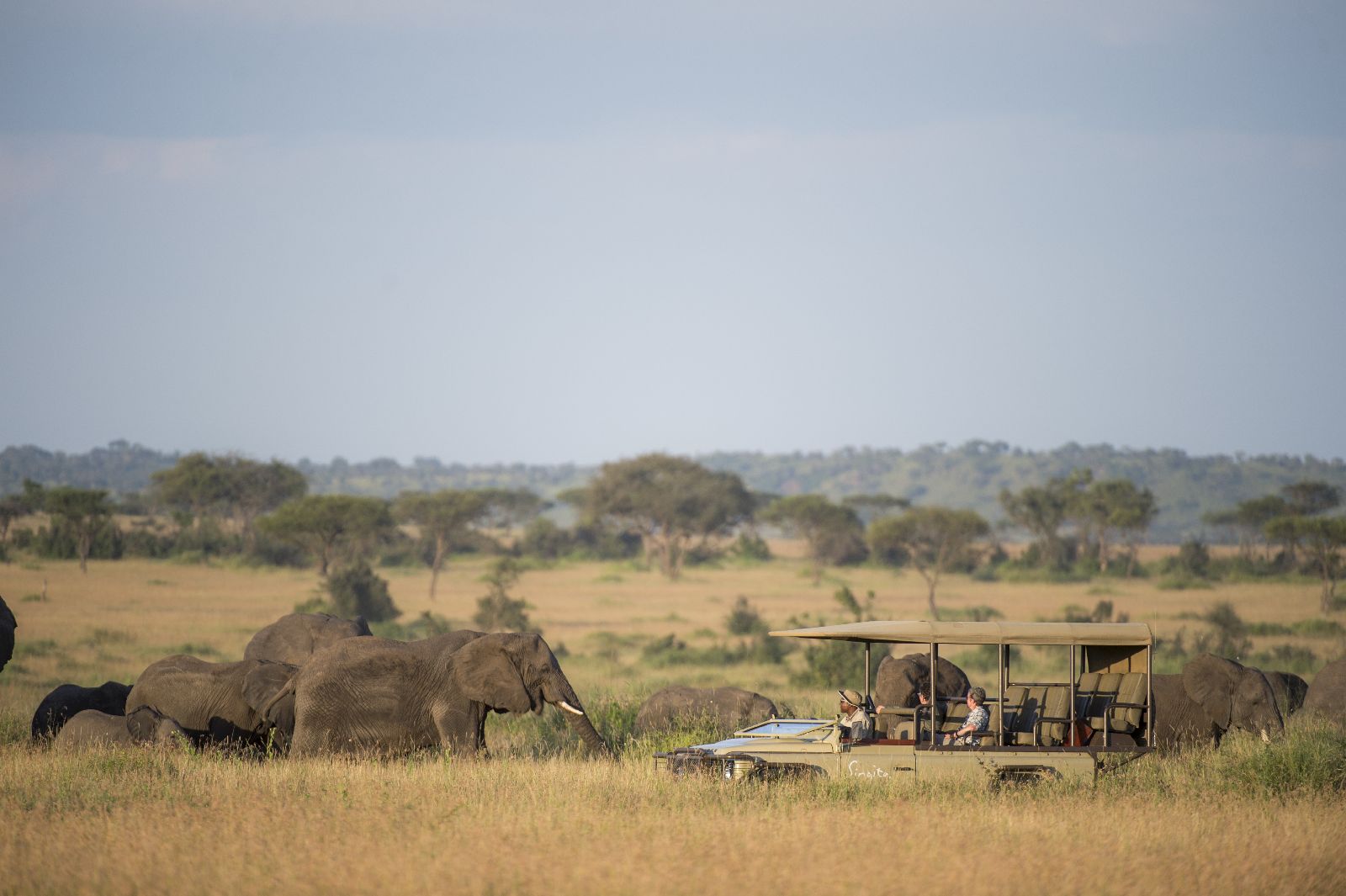 Elephants spotted on game drive from Singita Sasakwa Lodge in Tanzania