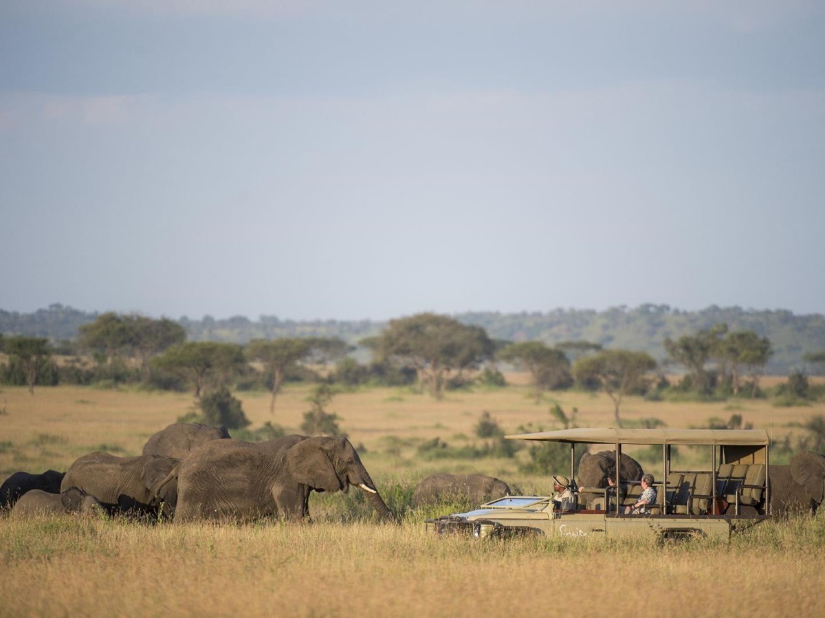 Elephants spotted on game drive from Singita Sasakwa Lodge in Tanzania