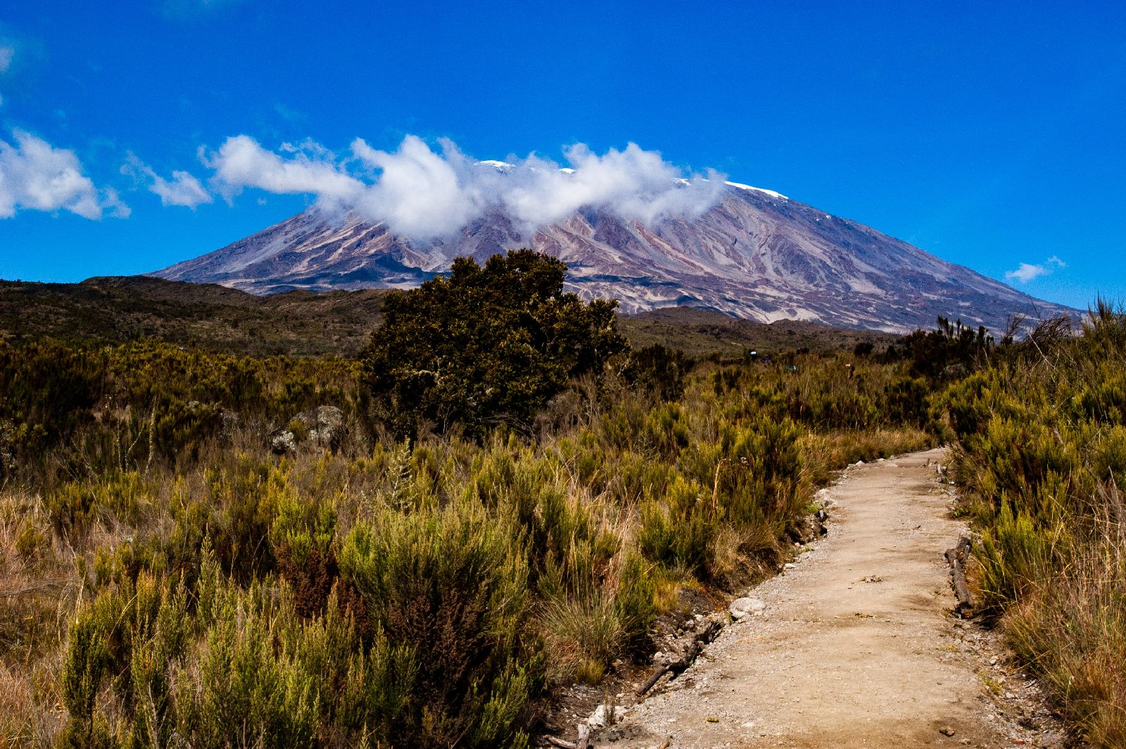 One of the walking paths en route to Mount Kililmanjaro in Tanzania