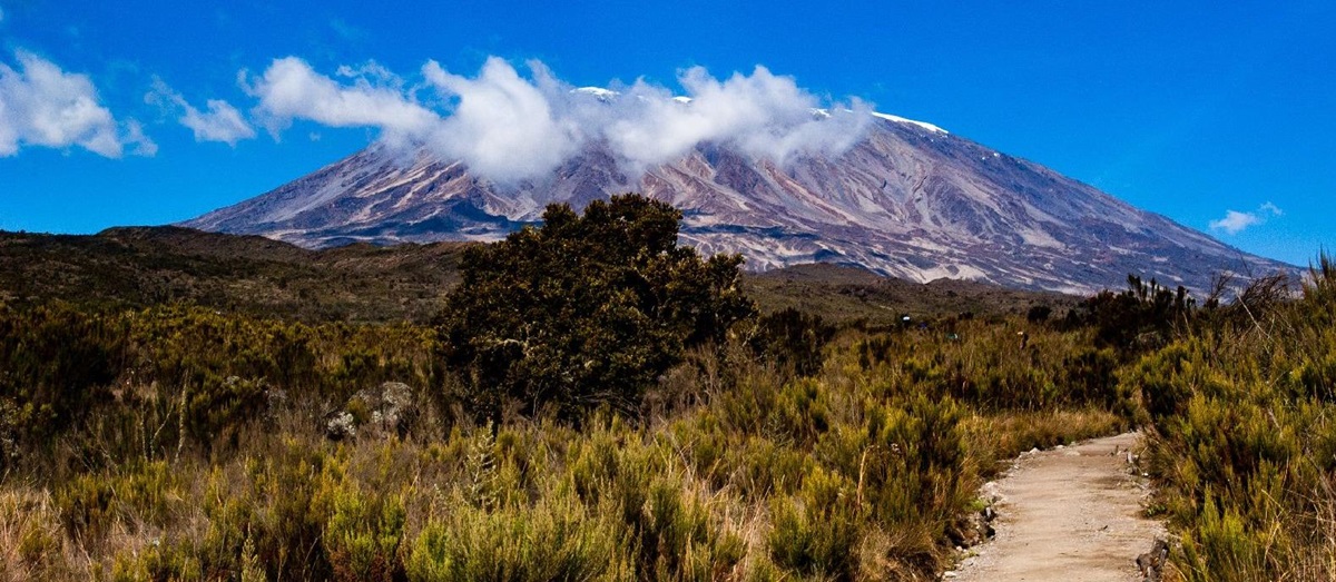 One of the walking paths en route to Mount Kililmanjaro in Tanzania