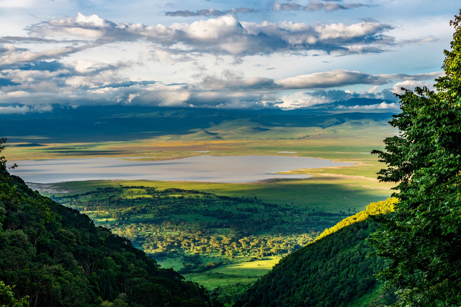 Looking down over the Ngorogoro Crater in Tanzania