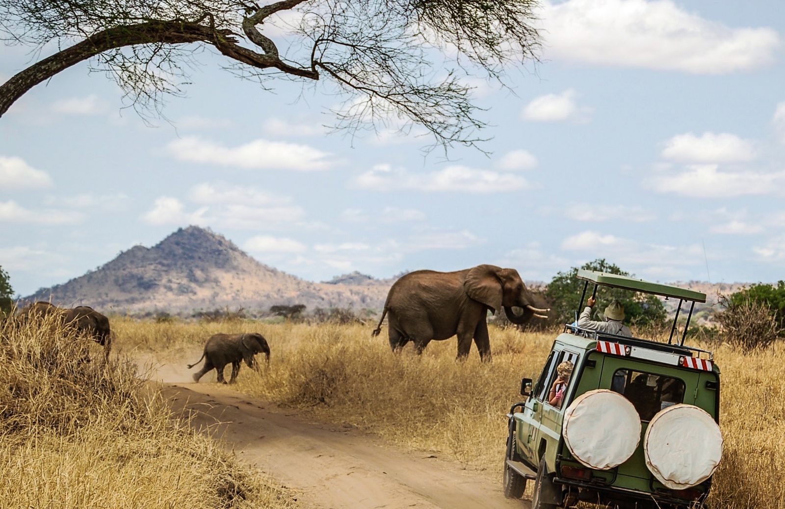 A game drive vehicle on safari in Tanzania encountering a family of elephants 