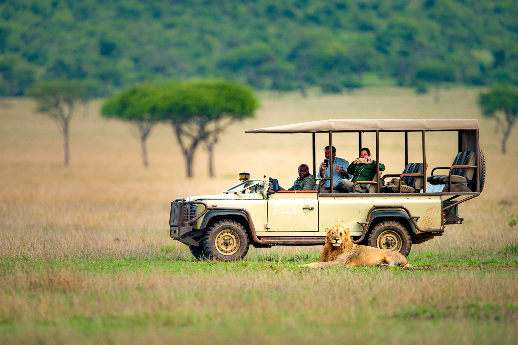 A lion spotted during a game drive from Singita Serengeti House in Tanzania