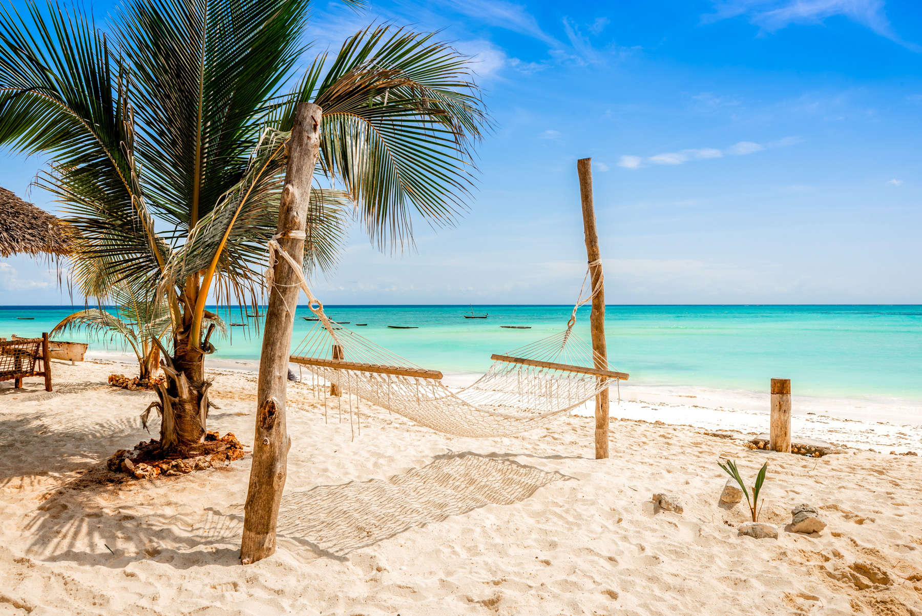 A hammock on the beach in Zanzibar